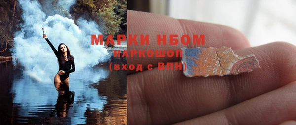 индика Баксан