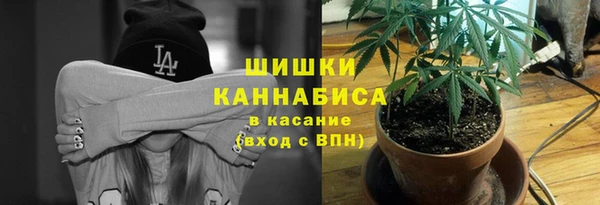 мдма Ельня