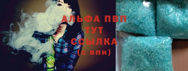 сатива Елизово