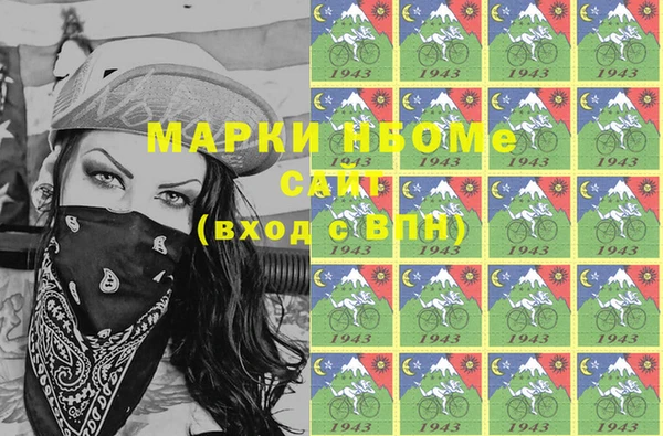 индика Баксан