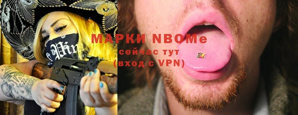 индика Баксан