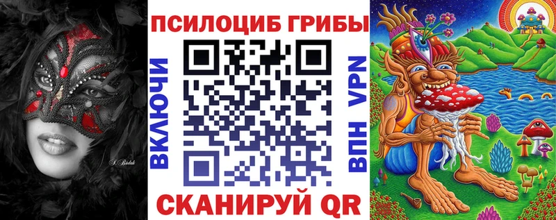 мориарти какой сайт  Кудрово  Галлюциногенные грибы MAGIC MUSHROOMS  закладки 