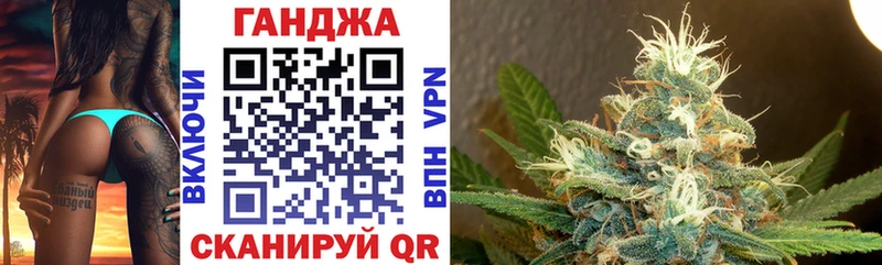 Шишки марихуана сатива  магазин  наркотиков  Кудрово 